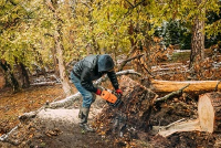 Tree Service Pros of Frederick MD