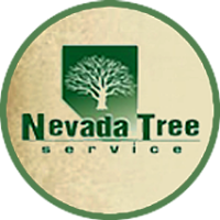 Tree Service and Landscaper Nevada Tree Service in Las Vegas 