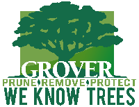 Tree Service and Landscaper Grover Landscape Services, Inc. in Modesto CA