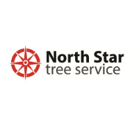 North Star Tree Service Lilburn