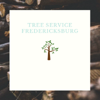 Tree Service Fredericksburg