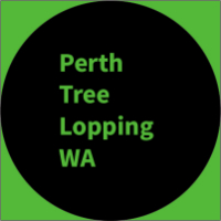 Perth Tree Lopping WA