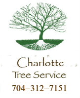 Tree Service and Landscaper Charlotte Tree Service in Charlotte NC