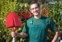 Tree Service and Landscaper CONCORD LANDSCAPING in Concord NC