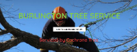 Burlington Tree Service