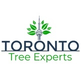 Tree Service and Landscaper Toronto Tree Experts in Toronto ON