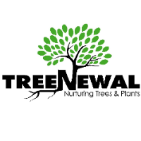 TreeNewal, Certified Arborist | Argyle, Texas