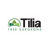 Tree Service and Landscaper Tilia Tree Surgeons in Portsmouth Hampshire 