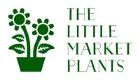 The little market plants
