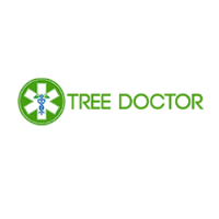 Tree Service and Landscaper Tree Doctor in Ramona 