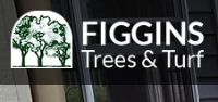Figgins Trees & Turf, Inc.