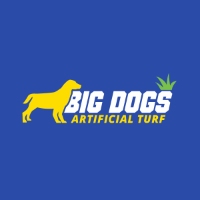Tree Service and Landscaper Big Dogs Artificial Turf in Boynton Beach FL