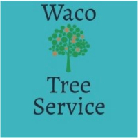 Tree Service and Landscaper Waco Tree Service in Waco TX
