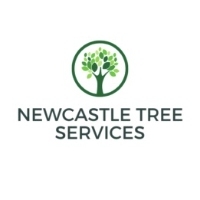 Tree Service and Landscaper Tree Loppers Newcastle in 3 Carbine Cl NSW