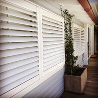 Elevate Your Home Aesthetics: The Timeless Charm of Plantation Shutters in Brisbane